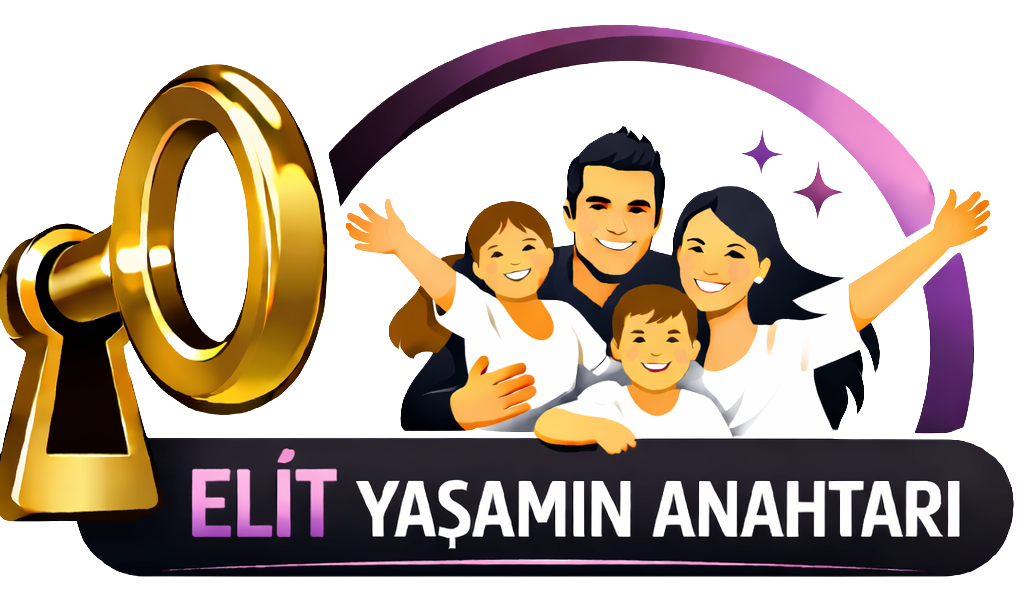 Faaliyet Alanları